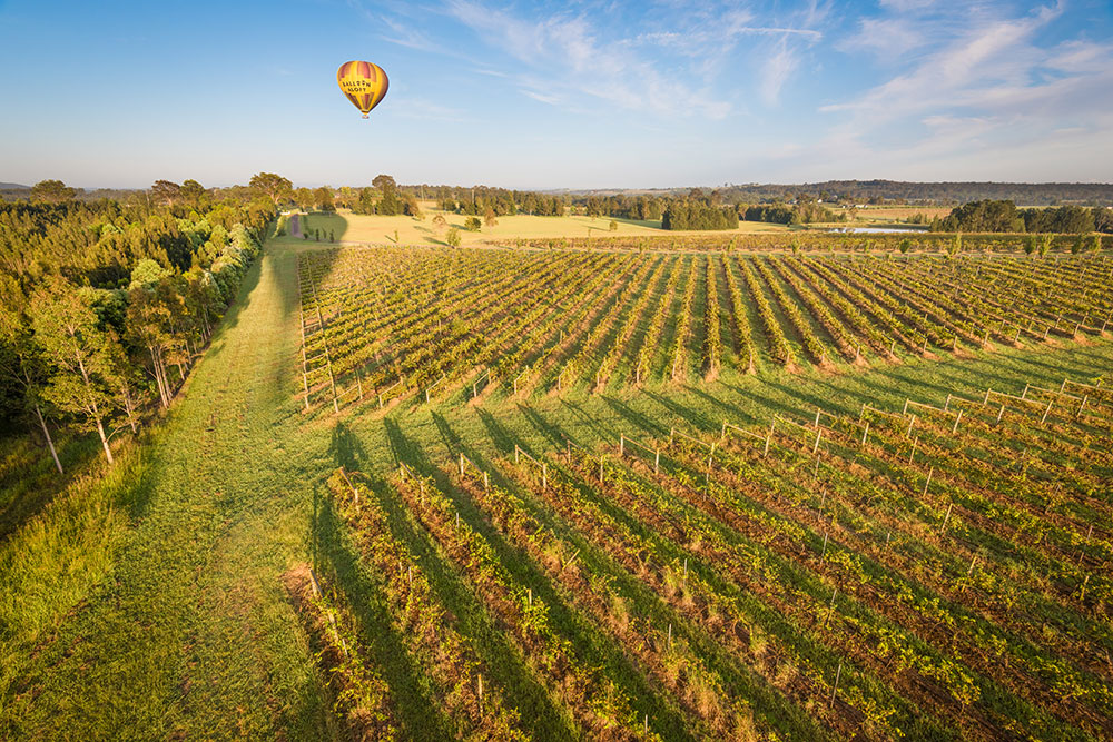 Ballooning over the Vineyards, Hunter Valley