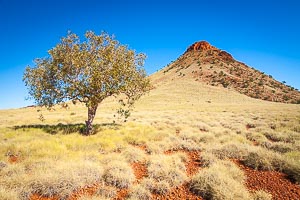 Buy pictures of the pilbara, photos of the pilbara, photographs of the ...