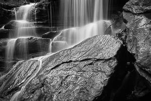 View Brisbane Water National Park